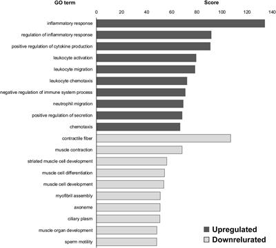 Comparing the effects of microgravity and amyotrophic lateral sclerosis on mouse dorsal root ganglia